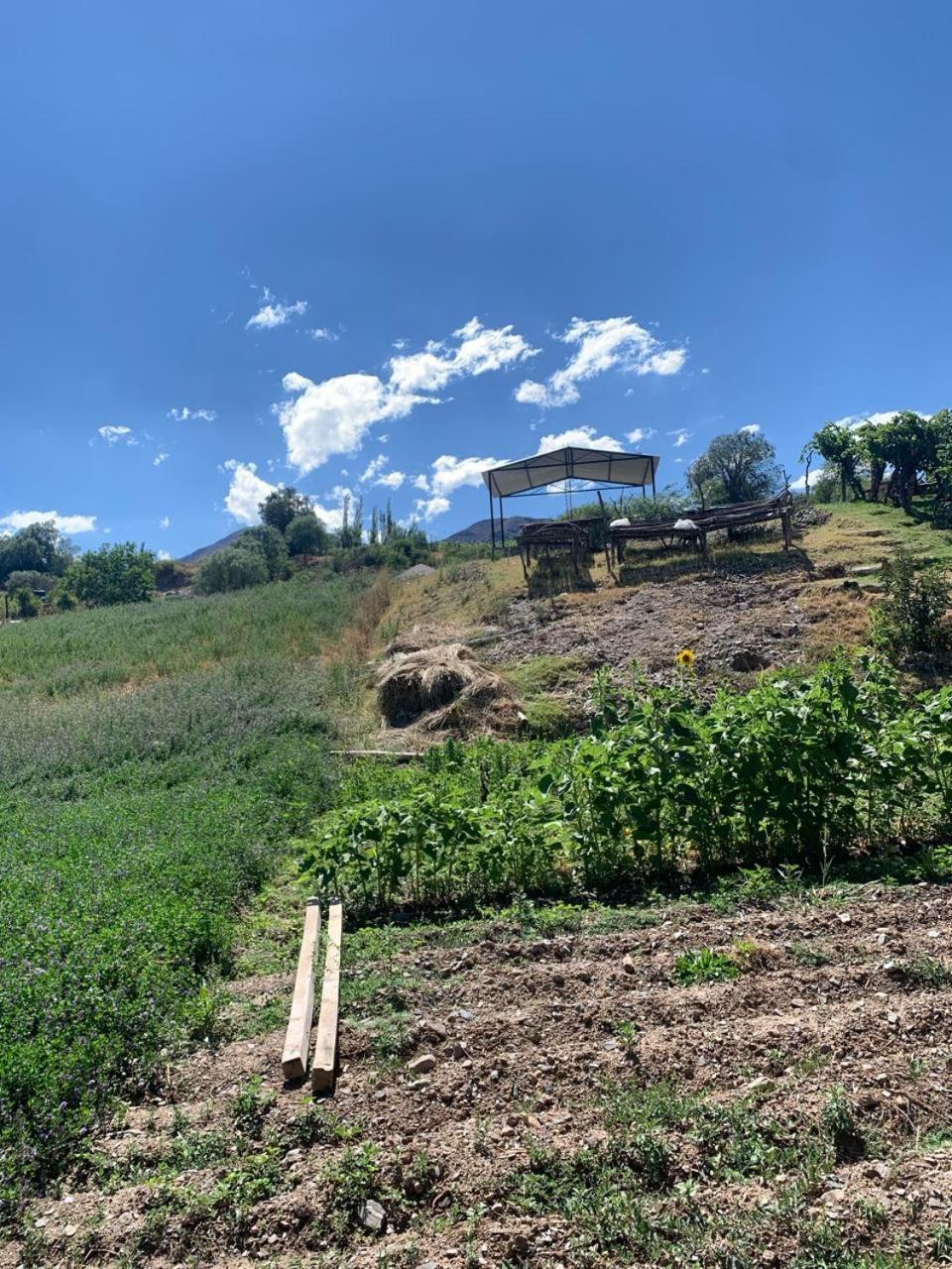 Cabana Cortaderas Mi Campito Cachi Salta Exterior foto